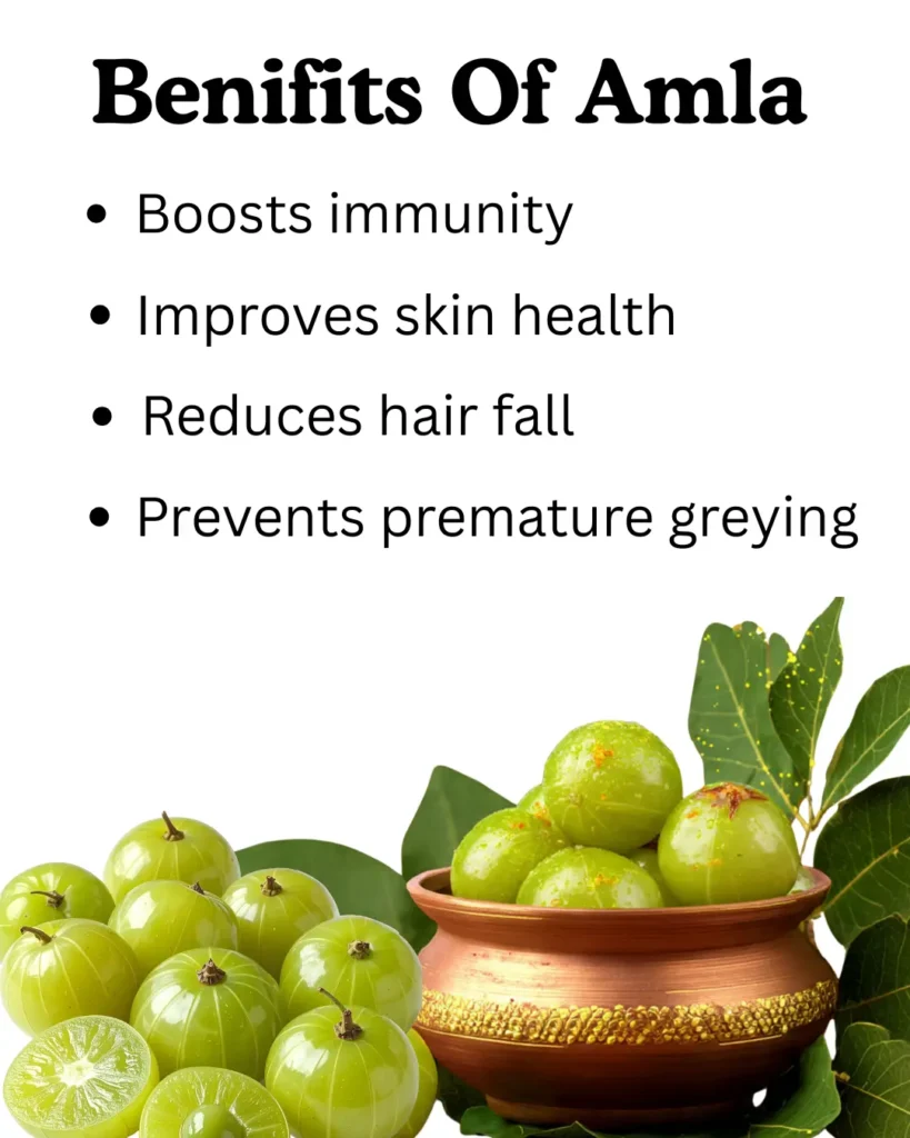 Benifits Of Amla