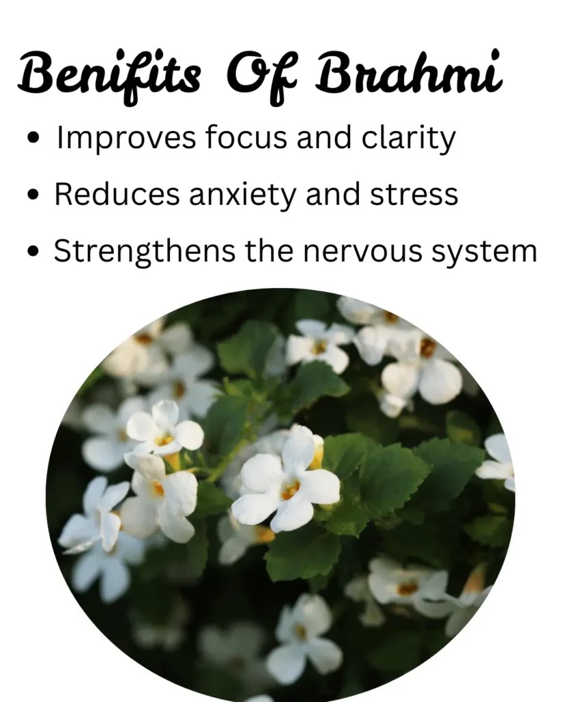 Benifits Of Brahmi