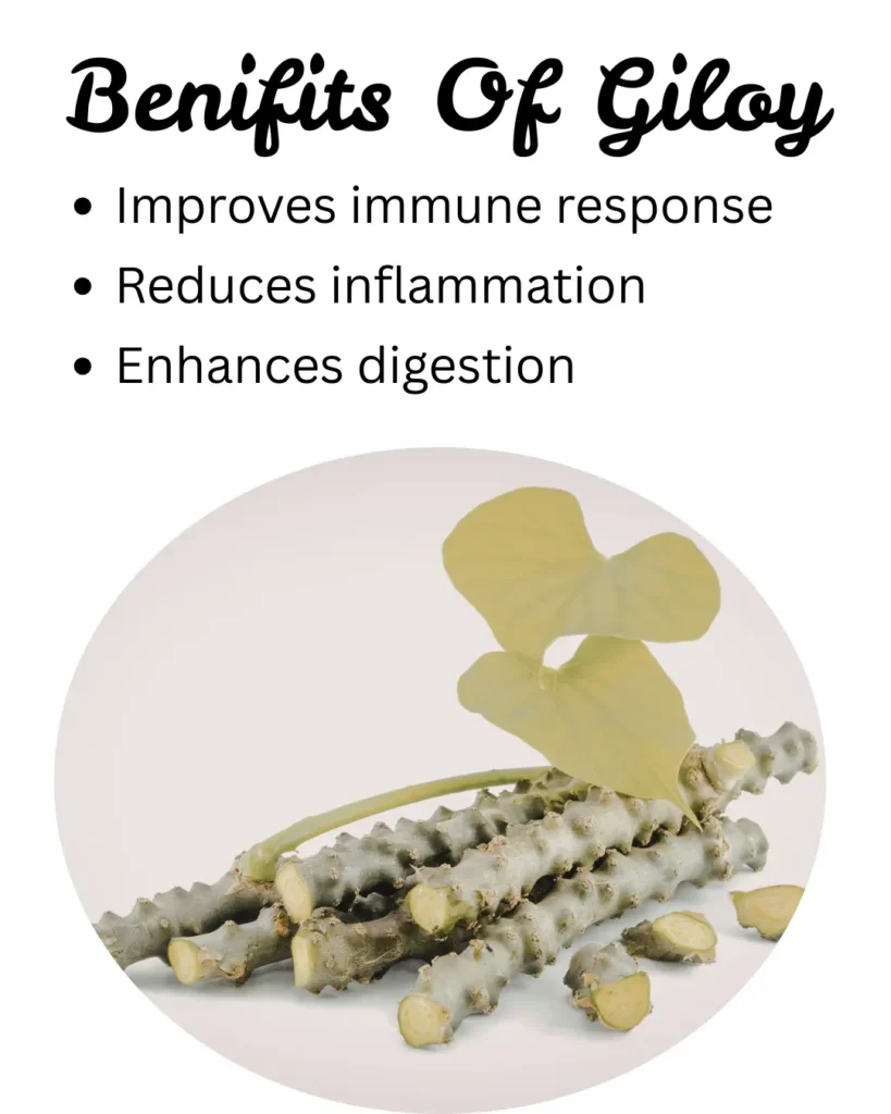 Benifits Of Giloy